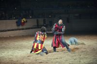 ميديفال تايمز (Medieval Times)